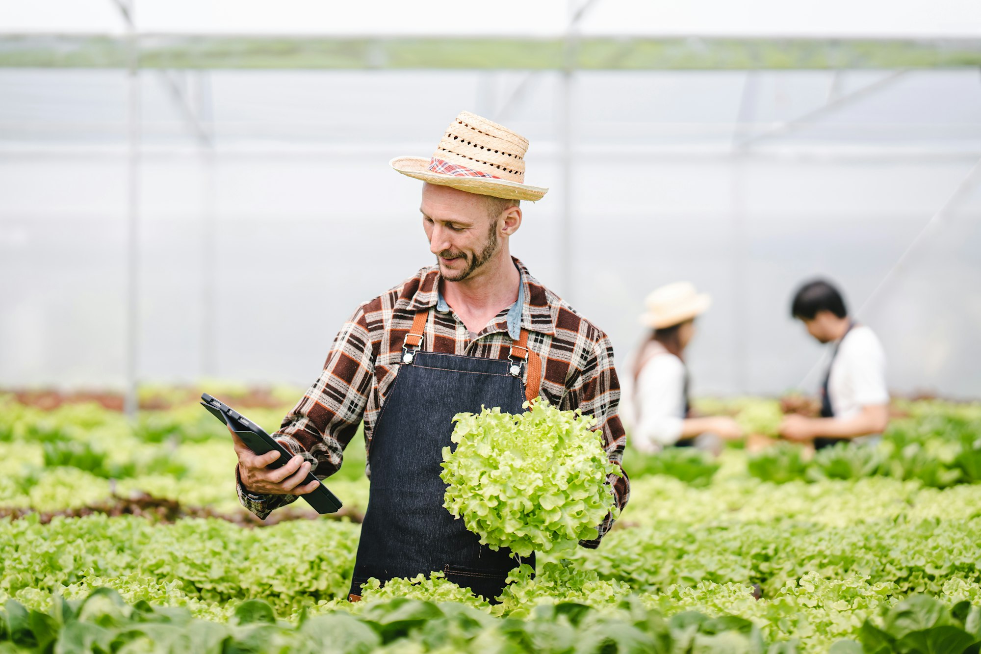 Owner of a hydroponic vegetable garden Check the quality of vegetables and monitor or record the gro